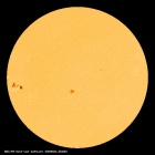 SDO/HMI Continuum Image of the Sun